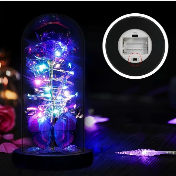 Unique Rose In the Glass Gift - Picture 5 of 6